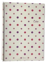 Atlas Color, A4 PP Kapak Spiralli Defter, Çizgili, 80 Yaprak