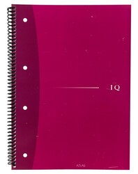 Atlas IQ, A4 PP Kapak Spiralli Defter, Çizgili, 100 Yaprak M:2