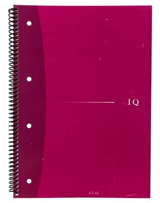 Atlas IQ, A4 PP Kapak Spiralli Defter, Çizgili, 100 Yaprak - 2