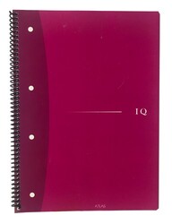 Atlas IQ, A4 PP Kapak Spiralli Defter, Kareli, 100 Yaprak