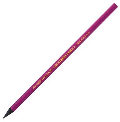 Bic Evolution Kurşun Kalem HB, Pembe - 1