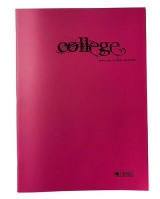 Çınar College, A4 PP Kapak Defter,, Çizgili, 40 Yaprak - 2
