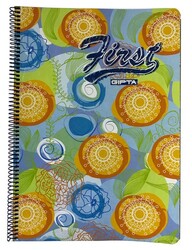 Gıpta A4 Karton Kapak Spiralli Defter Çizgili 120 Yaprak M:4