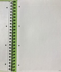 Gıpta D-Mode A4 Spiralli Sert Kapak 3 Konulu (2 Kareli +1 Çizgili) Defter 120 Yaprak - 2