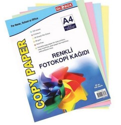 Globox A4 Renkli Fotokopi Kağıdı 5 Renk 100 Ad
