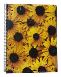 Umur Natural Line A4 PP Kapak  Spiralli Defter Çizgili 120 Yaprak